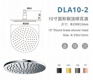 DLA10-2 10寸圆形增压铜顶喷花洒