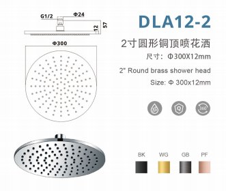 DLA12-2 12寸圆形增压铜顶喷花洒