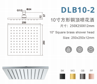 DLB10-2 10寸方形增压铜顶喷花洒