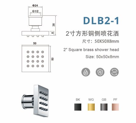 DLB2-1 2寸方形铜侧喷花洒