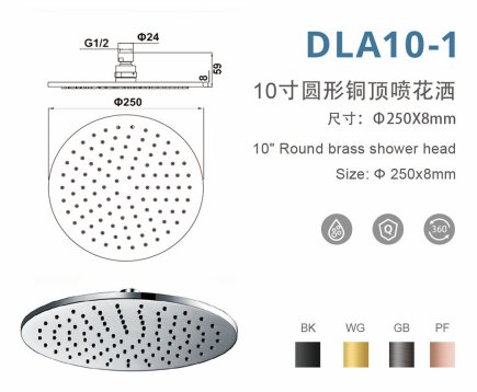 DLA10-1 10寸圆形铜顶喷花洒